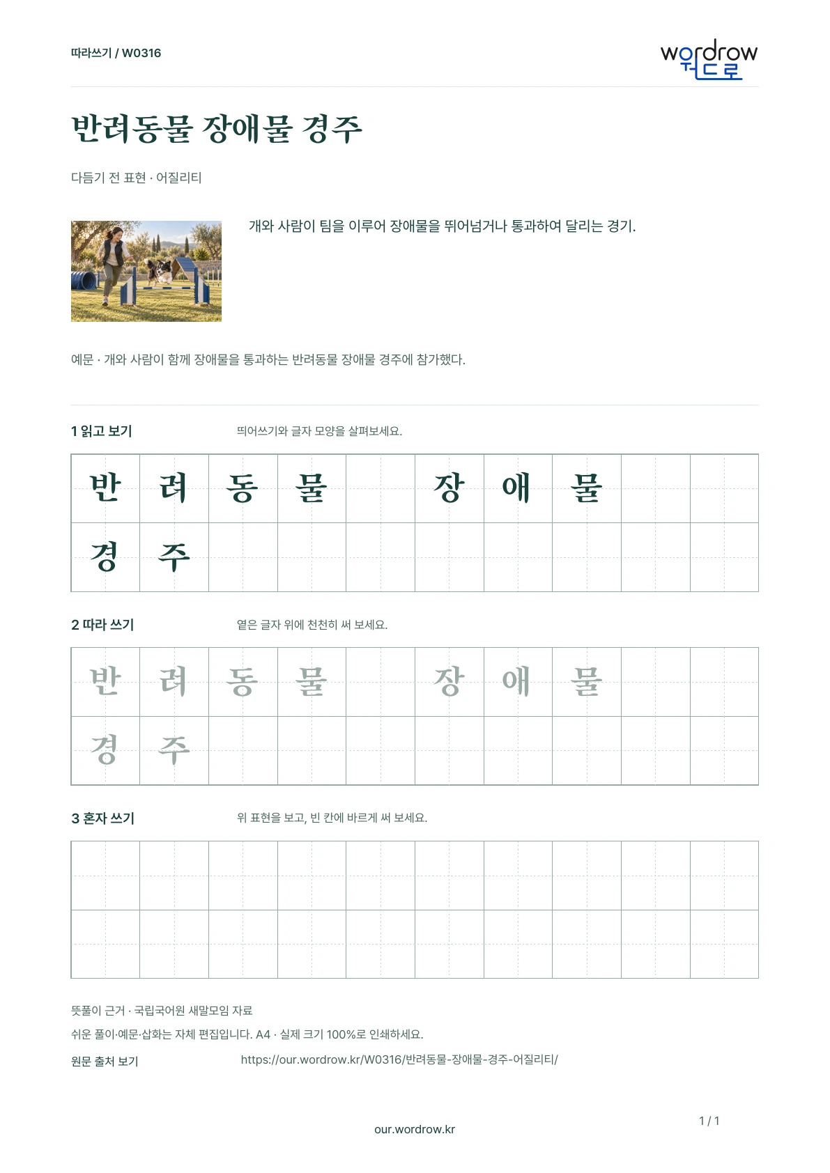 반려동물 장애물 경주 · 어질리티 학습지 1쪽 미리보기